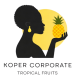 cropped cropped logo koper corporate 3